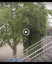 Zug - Güglingen Bild 4