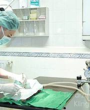 Tierarztpraxis Marc-Niklas Klingberg Bild 3