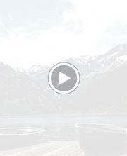 Dr. med.univ. Markus Moser: Kardiologische Privatpraxis - Kardiologe Berlin Bild 1