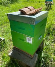 Poudevigne Lucas image 1