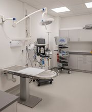 Tierarzt Schwerin, Kleintierzentrum Sieben Seen Schwerin Bild 10