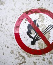 LG Consulting image 3