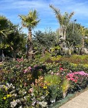 Villaverde Grimaud image 2