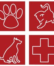 Levittown Animal Hospital image 9