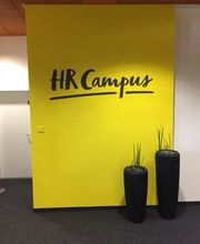 Malergeschäft Harry Di Rito Bild 13