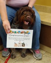 Parkwood Animal Hospital & Boarding image 3