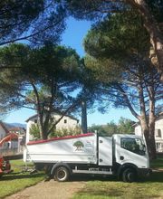 Ariège Arboriste image 5