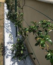 Services Verts a la Personne 5 5 image 1