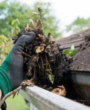 Regenrinnen Säuberung