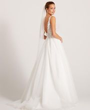 Alliance Elixir image 5