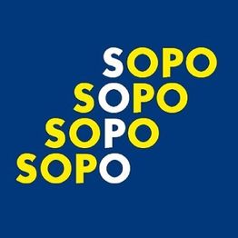 Sopo AG 
Möbelfirma in Eyholz