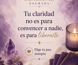 311820732-1-u3ht6bUmv11783670394699.jpeg