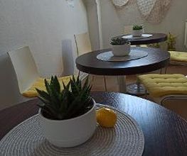 Grünpflanze im Pausenbereich.