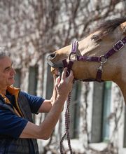 Tierklinik Rossweid AG Bild 13
