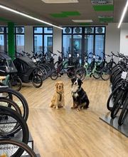JETI Bikes Erding Bild 1