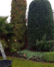 Heiko Jester - Garten- und Landschaftsbau GbR Bild 12