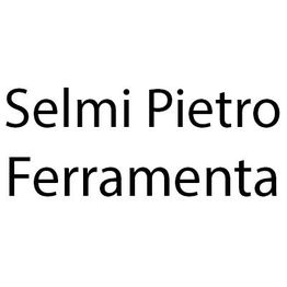 Ferramenta Selmi logo