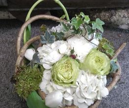 Pougary Marie image 14