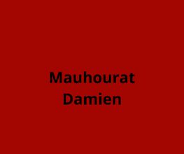 Mauhourat Damien image 2
