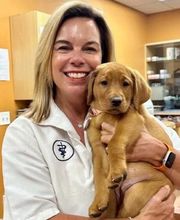 Loving Care Animal Hospital image 9