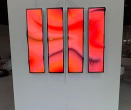 Gallery Cliente