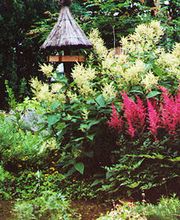 Gärtner Schultheiß Bild 4