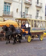 Le Haras De Muralis image 5