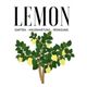 Lemon Facility Martinovic