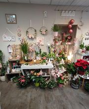 Atelier Nature image 5