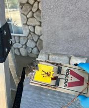 Source Pest Control image 14