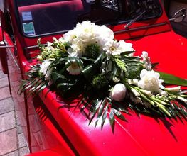 Les Secrets D'une Fleur image 5