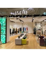 LOEWE Galeries Lafayette - Women's Collection image 4