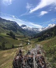 Clalüna-Sils Kutschenfahrten Bild 5