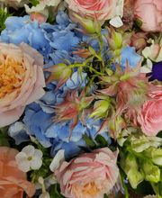 Blumenzauber Kaminski Bild 3