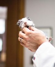 Three Trails Animal Hospital image 7