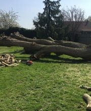 Arbres Verts Outters Outters Xavier image 7