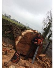 Duhautoy David image 2