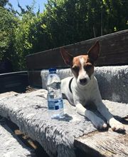 Kleintierpraxis 54 Bild 14