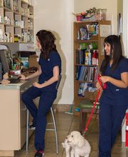 Topaz Veterinary Clinic image 16