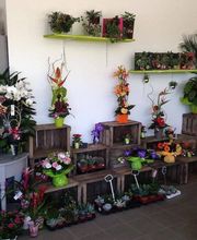 Clerjaud Et Fils image 2