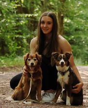 Hundezentrum Saarburg Bild 3