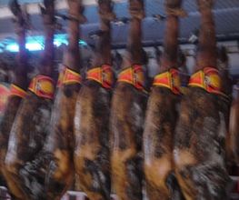 14016935-1-moUWe0a5Ya1553536556004.jpeg