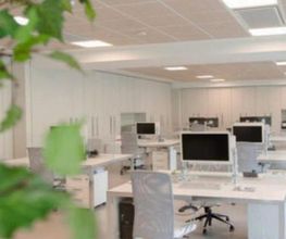 Gallery Cliente
