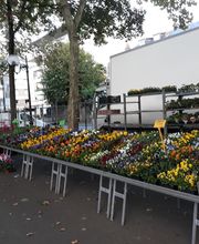 BJL Potager image 19