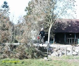 Bouvier Gianni image 5