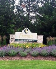 Spring Gardens Landscaping & Horticultural Services, Inc. image 19