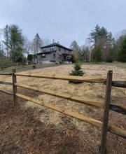 Happy Stump Tree Service image 16