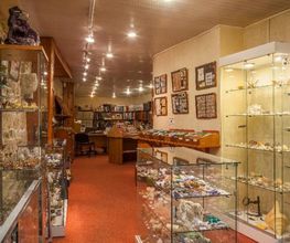 Espace Collections image 11
