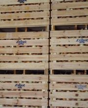 CEBESTUR,S.L. imagen 17