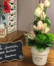 La Primevère image 1